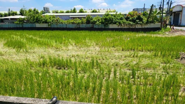 7+1工商不動產的物件介紹圖片