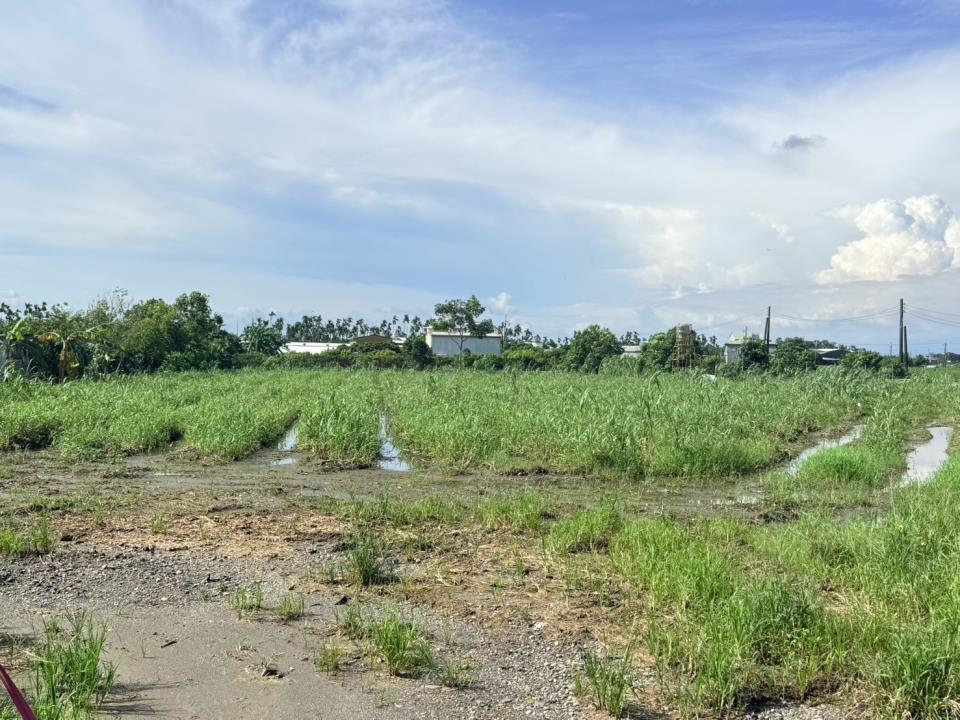 屏東瑞光南路農地的第1張圖片
